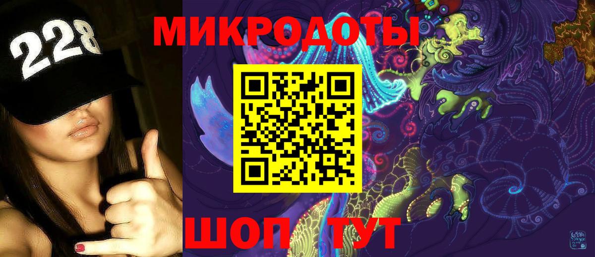 Псилоцибиновые грибы Psilocybe  Вход с VPN  Дзержинск 