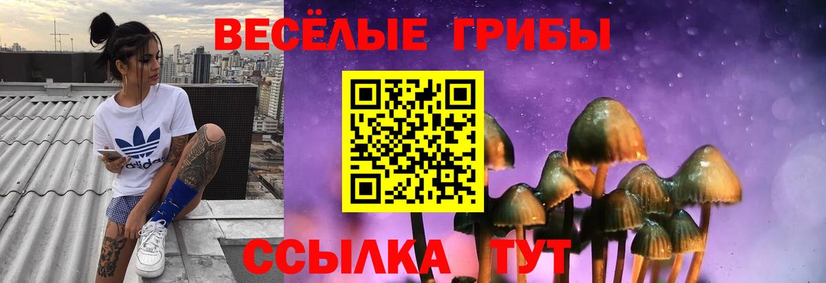 Псилоцибиновые грибы Psilocybine cubensis Дзержинск